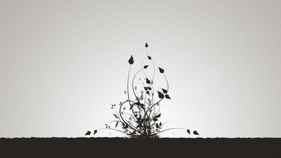 什么是企业网络
