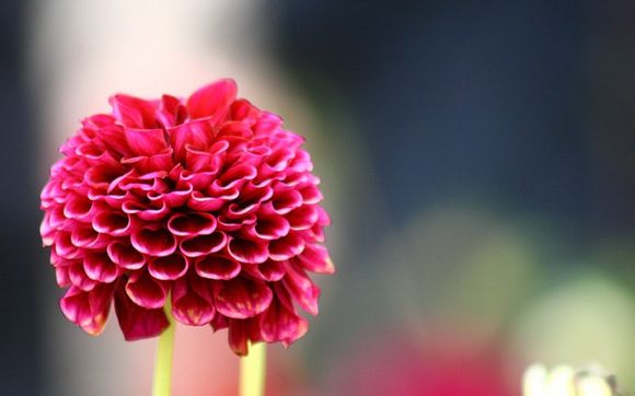 改为一般疑问句怎么改