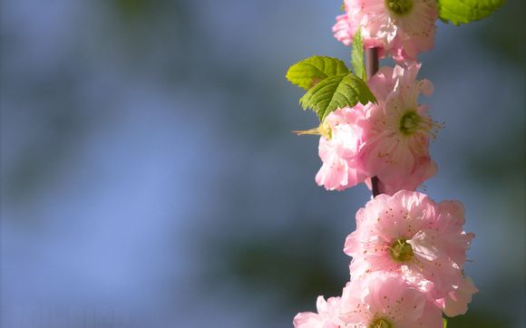 电大经济数学基础12形考3答案